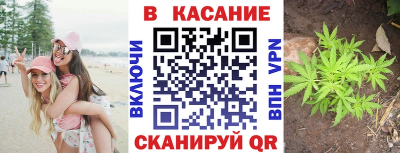 Марихуана Малмыж