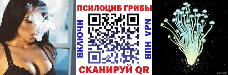 Галлюциногенные грибы Psilocybe  Малмыж 